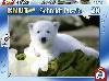 Knut, Cuddle Bear, 20 darabos