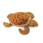 Levy, a bébi tengeri teknős